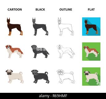 Dog breeds cartoon,black,outline,flat icons in set collection for design.Dog pet vector symbol stock  illustration. Stock Vector
