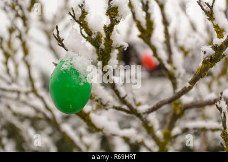 Colourful Easter Eggs Hanging From A Tree In Snow Stock Photo