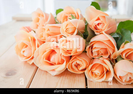 Peach Colored Roses Stock Photo