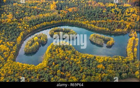 Aerial view, Lake Heidesee, islands with autumn forest, colourful autumn leaves, Kirchhellen, Grafenwald, Bottrop, Ruhr area Stock Photo