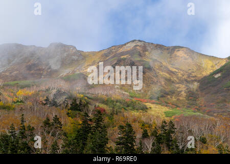 Tsugaike nature park in the fall Stock Photo