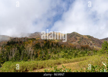 Tsugaike nature park in the fall Stock Photo