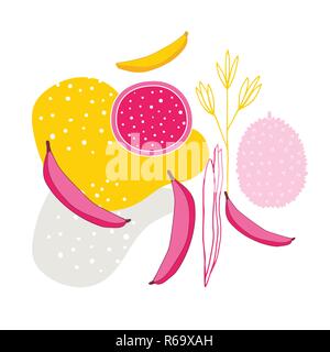 Colorful tropical fruits flowers Banana Jackfruit Dragon fruit Pitaya Pitahaya slice Simple silhouettes and lines Beautiful abstract background hand d Stock Vector