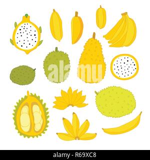 Exotic colorful tropical fruits collection isolated on white background Jackfruit Banana Dragon fruit slices Hand drawn design elements set Stock Vector