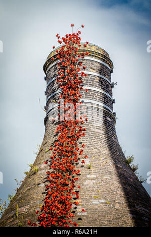 Poppies Weeping Window 2018 Stoke-on-Trent Stock Photo - Alamy