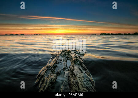 Sunset along the edge lakes of Flevoland. Floating piece of driftwood washed up on the coast with a view over the flat Dutch Polder landscape. Stock Photo