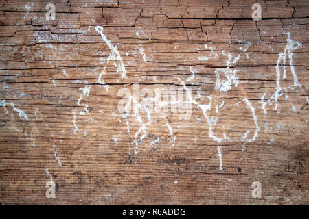 Rotting wooden texture. Old weathered wood background. Rotting process Stock Photo