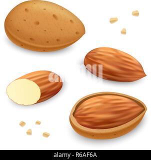 Almond icon set. Realistic set of almond vector icons for web design Stock Vector