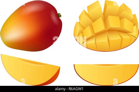 Mango fruit icon set. Realistic set of mango fruit vector icons for web design Stock Vector