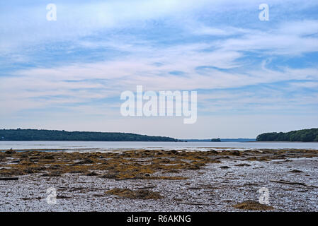 Wide view of the seaweed covered mud flats at Searsport, Maine at low tide with emphasis on a bright sky. Stock Photo