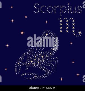 Zodiac sign Scorpius on a background of the starry sky, vector illustration Stock Vector