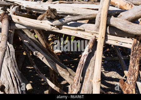 Driftwood sticks arranged in a haphazard way on a beach in Maine. Stock Photo