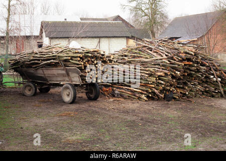 Trailer full of chopped fire-wood old fashioned farmers cart at Poland's countryside rural life Stock Photo