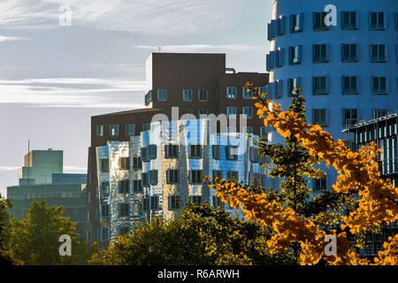 Blick auf Neuer Zollhof im Medienhafen vom Architekt O. Gehry, Düsseldorf 2015. View of Neuer Zollhof in the Medienhafen by architect O. Gehry, Düsseldorf 2015. Stock Photo