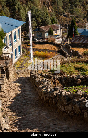 Nepal, Lukla, Chheplung, rocky path between Lukla and Namche Bazaar passing village and prayer flags Stock Photo