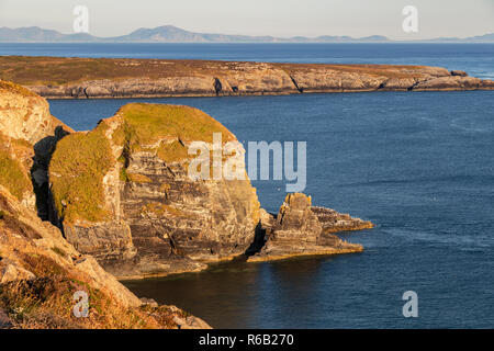 South Stack cliffs lit by the setting sun on the coast of Anglesey, North Wales Stock Photo