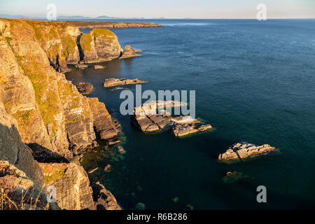 South Stack cliffs lit by the setting sun on the coast of Anglesey, North Wales Stock Photo