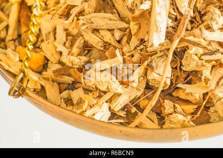 Blue Evergreen Hydrangea Root, Dichroa Febrifuga Stock Photo