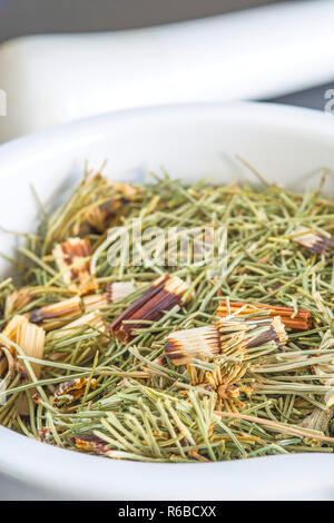 Horse'S Tail, Equisetum Arvense, Medicinal Plant Stock Photo