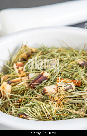 Horse'S Tail, Equisetum Arvense, Medicinal Plant Stock Photo