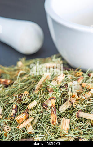 Horse'S Tail, Equisetum Arvense, Medicinal Plant Stock Photo