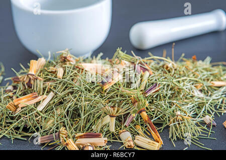 Horse'S Tail, Equisetum Arvense, Medicinal Plant Stock Photo