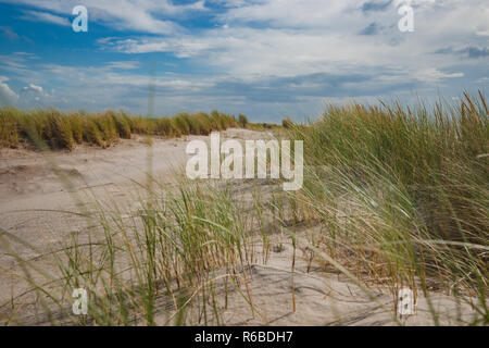 Unique perspective of sand dunes on the beach. Blue sea and blue sky with white clouds. North Sea, Netherlands. Stock Photo