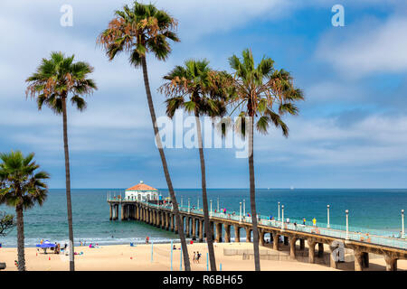 Palm trees on Manhattan Beach Stock Photo