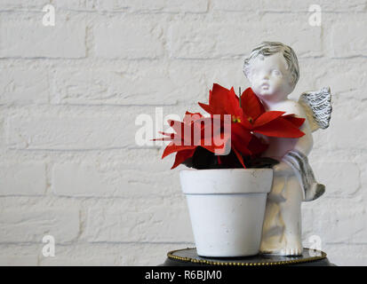 red christmas star flower in a angel flowerpot in closeup and brick wall background Stock Photo