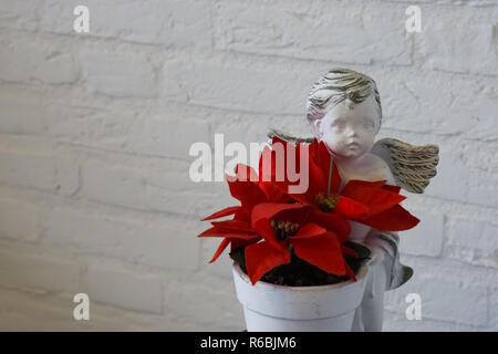 red christmas star flower in a flowerpot with angel statue, beautiful christmas decoration isolated on a white brick wall background. Stock Photo