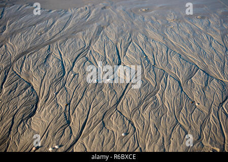 Sand beach resembling a tiny river delta system on a beach with mussel shells Stock Photo