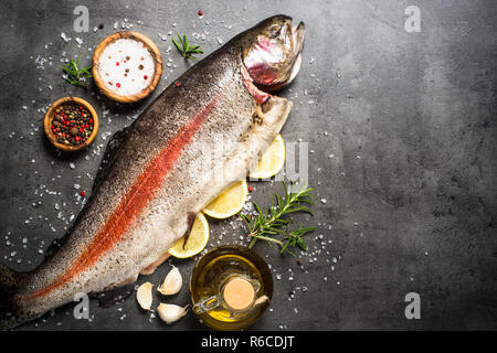 Raw salmon fish whole with ingredients for cookings on black. Stock Photo