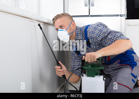 Worker Spraying Pesticide On Wall Stock Photo