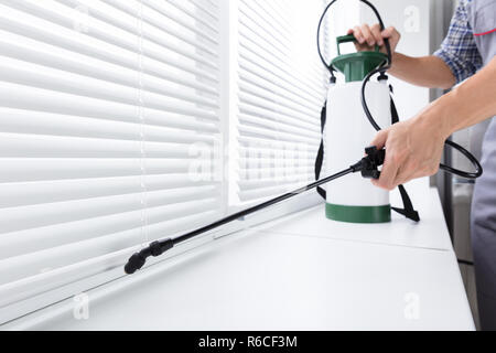Worker Spraying Insecticide On Windowsill Stock Photo