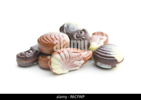 Sweet chocolate seashells. Stock Photo