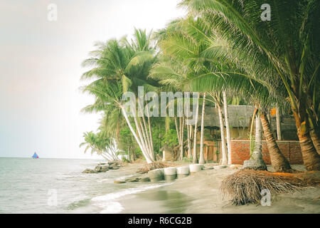 Palmtrees on the beach in Lombok Stock Photo