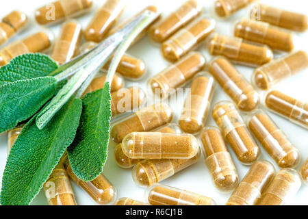 Sage Leaves With Herbal Pills Stock Photo