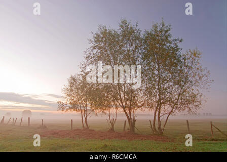 Poland, Biebrzanski National Park Stock Photo