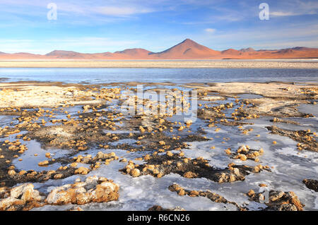 Bolivia, Laguna Colorada, Red Lagoon, Shallow Salt Lake In The Southwest Of The Altiplano Of Bolivia, Within Eduardo Avaroa Andean Fauna National Rese Stock Photo