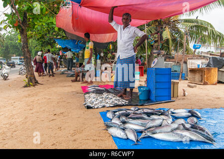 Fresh Fish On Display For Sale At A Local Fish Market In Galle, Sri Lanka Stock Photo