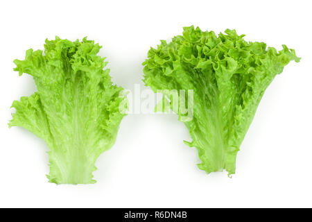 Lettuce leaf isolated on white background close up Stock Photo