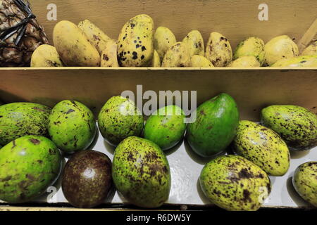 Set of ripe Carabao yellow and green mangoes-national fruit of the Philippines for sale in a sidewalk fruit stand at the back of beachfront houses-Bue Stock Photo