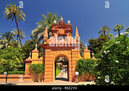 Spain, Andalusia, Seville, Barrio Santa Cruz, Alcazar Palace Stock Photo