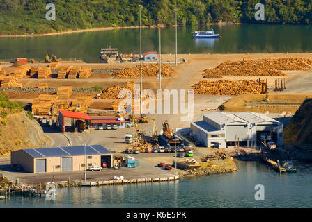 Stacks Of Tree Trunks Ready For Export By Sea In Wellington Port, New Zealand Stock Photo