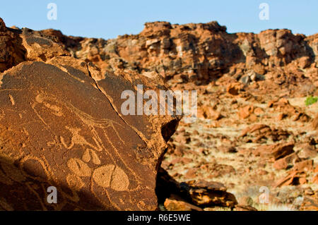 Bushmen Petroglyphs, Twyfelfontein Rock Art Site In Damaraland, Southern Kaokoveld Wilderness, Namibia Stock Photo