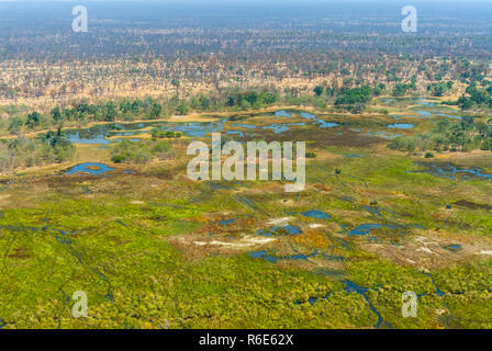 Aerial View Of Rivers, Streams And Grasslands In Okavango Delta, Botswana, Africa Stock Photo