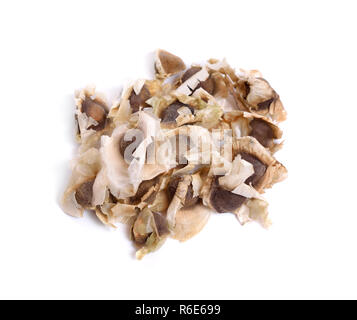 Moringa Oleifera seed isolated on white. Stock Photo