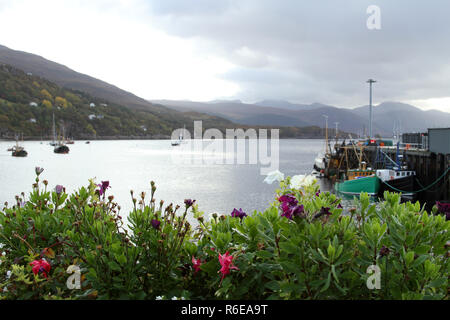 Flower framed view from the beautiful town of Ullapool to the river with fishing boats and Scottish Highlands in the background. Stock Photo