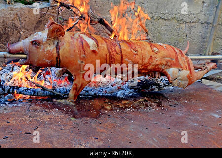 Just roasted suckling pig on a spit Stock Photo