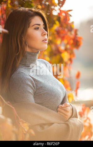Photo of long haired brunette looking aside against background of autumn trees Stock Photo